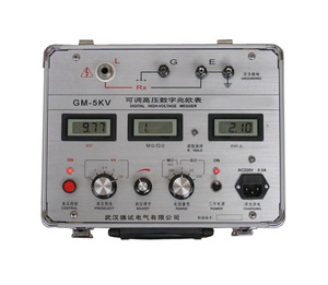 GM-5KV可調(diào)高壓數(shù)字兆歐表